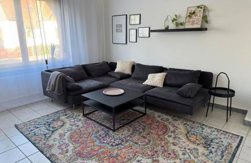 Helles APT Wiesbaden Mainz FFM 2 Schlafzimmer - Foto 5