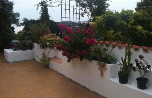 Apartments Hortenzija - Photo 11