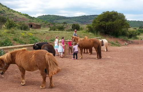 Villa au lac du Salagou - 10 pers - Foto 32