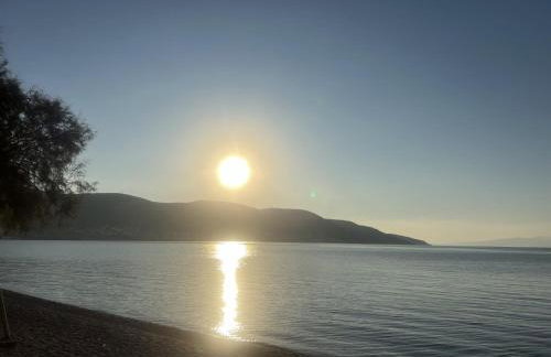 The White House - Aianteio - Foto 59