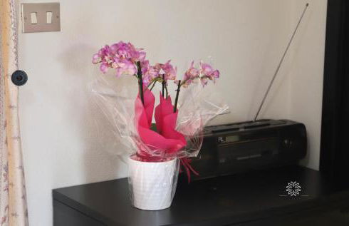 Casa Lucia - Foto 46