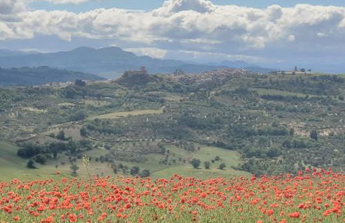 Il Centro Storico - Photo 30