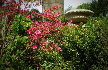 Accommodation at Salomons Estate - Foto 48