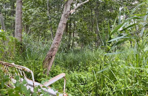 Häuschen in den Erlen - Photo 10