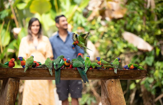 Rose Gums Wilderness Retreat - Foto 29