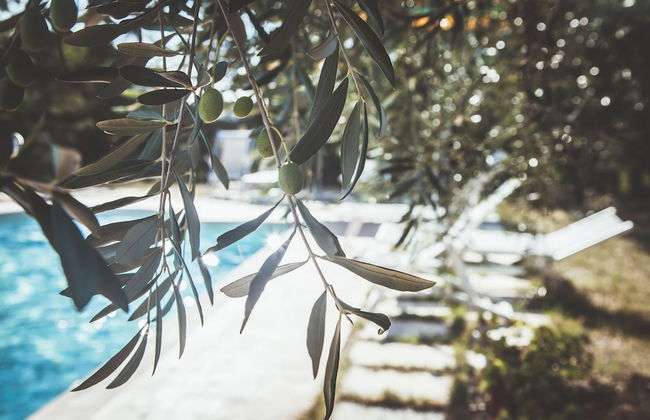 Case Vacanza Podere Risoino - Foto 89