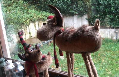 Pefkofyto Mountain Retreat - Photo 3