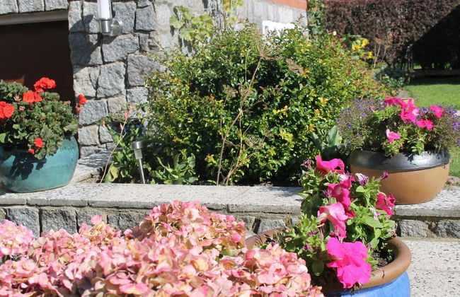 Ferienwohnung, Ostseebad Rerik - Foto 17