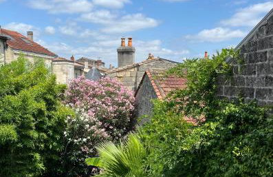 Family house Bordeaux centre, pool, garden, air conditioning - Foto 29