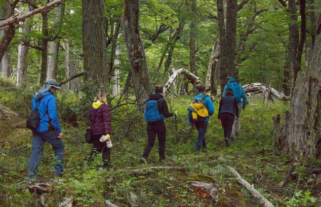 Trek au lac Frías + Balade en bateau à moteur dans les glaciers - Photo 4