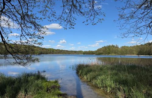 Kaszubska Nirvana - całoroczny dom na wyłączność z jacuzzi - Foto 25
