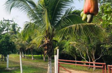 RECANTO DO SABIÁ - Foto 29