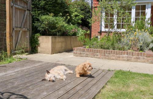 Cherry Garden Cottage - Foto 48