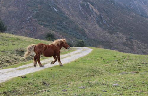 Apartamentos San Antonio de Garabandal - Foto 45