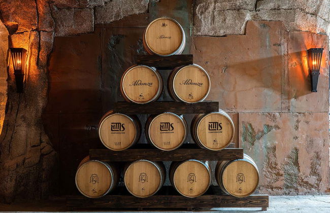 Tour of the Aldonza Gourmet Winery - Foto 2