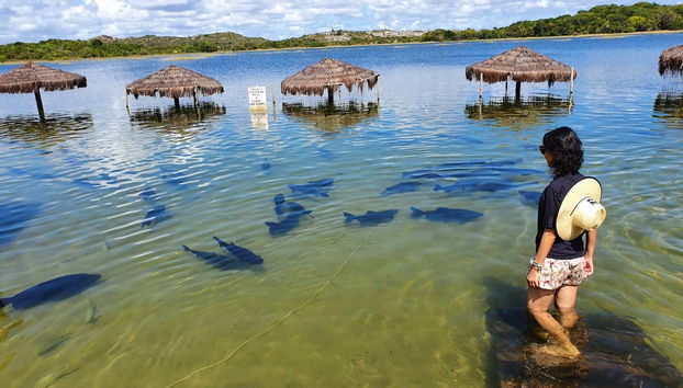 Praia do Saco & Tambaquis Lagoon Day Trip - Foto 3