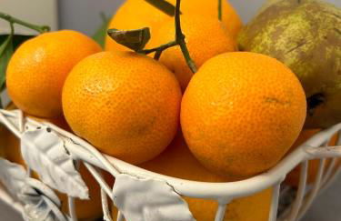 Casa Mia nel cuore di Napoli - Foto 61