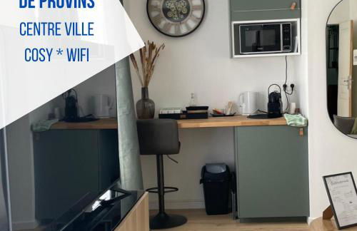 Studio - Suite rénovée de Provins - Foto 1