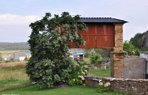 Apartamentos A Palleira - Foto 36