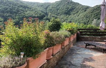 Casa Greta - Ca di Buie - Foto 6