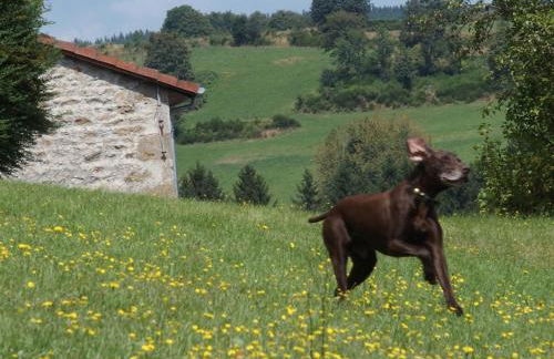 Château des Marcilly Talaru - Foto 16