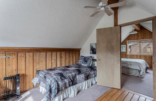 Honey Bear - Foto 16