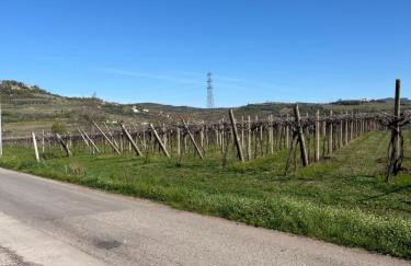 Agriturismo Corte Cea - Foto 16