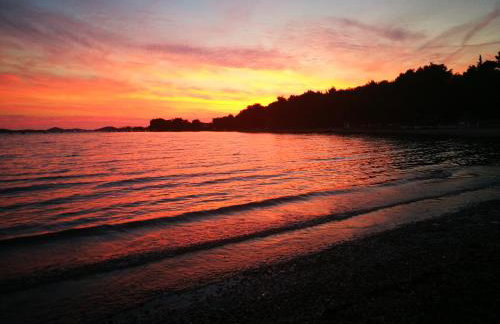 Casa Trussardi - Photo 37