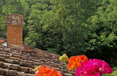 Molino di Cogno - Foto 50