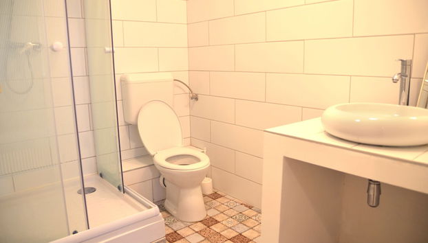 Incredible Ernesto II - Foto 4, Baño