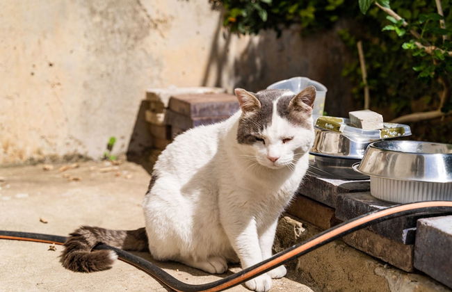 Apartment Fifi - Foto 38