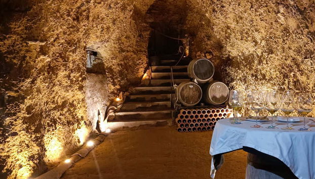 Tour in Laguardia - Photo 5