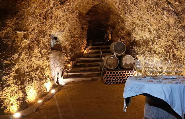 Visite des caves à vin Dorretxe + Dégustation d'huile d'olive - Photo 4