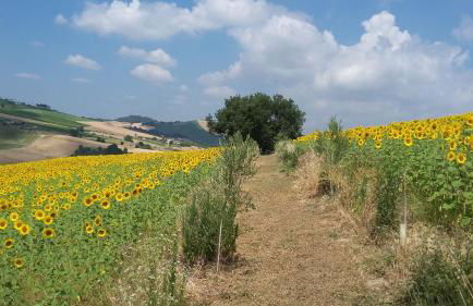 C'era Una Volta - Foto 17