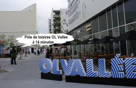 Votre cocon parfait à 9 min d'Eurexpo et 14 min groupama - Foto 27