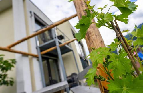 Biohof Gala - Foto 23