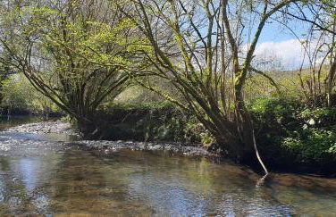 Charming Barn Conversion - Idyllic Rural Retreat- Pet Friendly - Foto 50