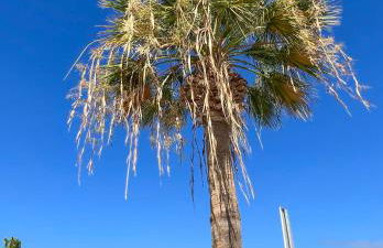 Apartamento el Paraiso - Foto 47