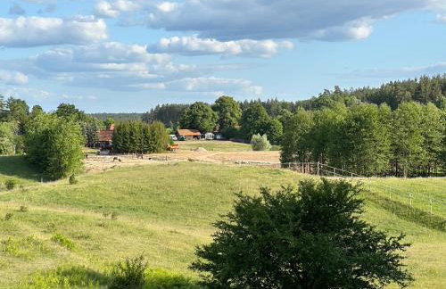 Stajnia Lipowo 45 - Foto 22