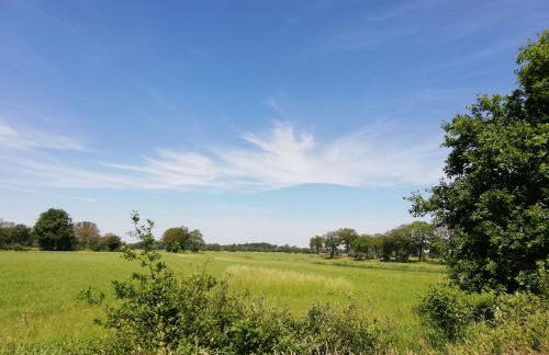 Etzel-Lodge Weideblick - Photo 26