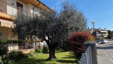 Green Park House - Foto 2