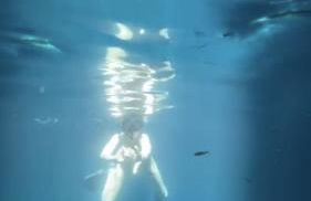 Sweet retreat in the springs NOT waterfront property - Foto 22