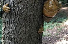 Cabaña de ensueño en el bosque y junto al mar - Foto 33
