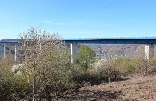 fewogriebelschied - Foto 58