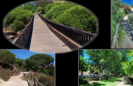 Playa Eucaliptos 1A - Foto 38