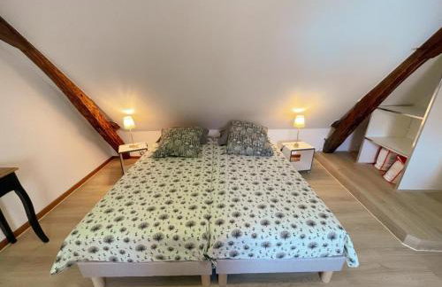 Gîte tout inclus avec jardin, clim, Wifi, proche Château de Villandry et Loire à vélo - FR-1-381-587 - Foto 15