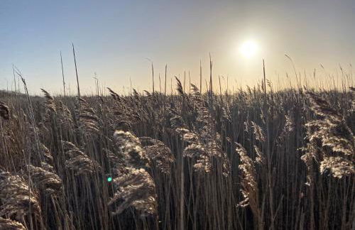 Ferienwohnung West - Foto 6
