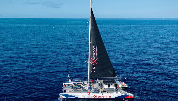 Giro in catamarano di 5 ore con avvistamento e ascolto di cetacei - Foto 4