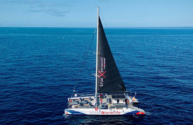 Giro in catamarano di 5 ore con avvistamento e ascolto di cetacei - Foto 8