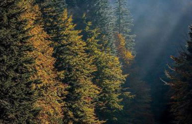 Casa Rural Irugoienea - Foto 50